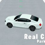 Real Car Parking 3D